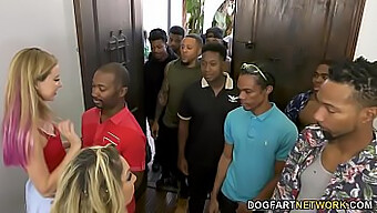 Haley Reed And Her Mature Mom Kiki Daire Give A Blowjob To A Group Of Black Men