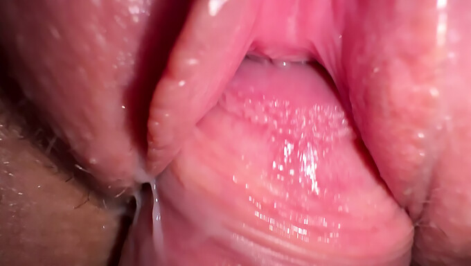 Intensa Penetración Vaginal Con Mi Compañera De Casa Sexualmente Excitada, Resultando En Eyaculación En Una Zona Genital Sin Pelo. ¡ven Y Disfruta De Esta Escena Caliente!