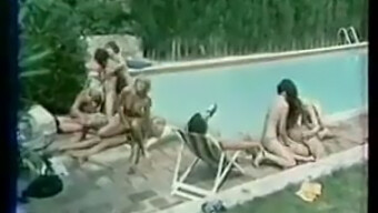 Sesso Di Gruppo Francese Vintage (1978)