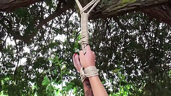 Bdsm Stripping Leads To Outdoor Spanking And Whipping