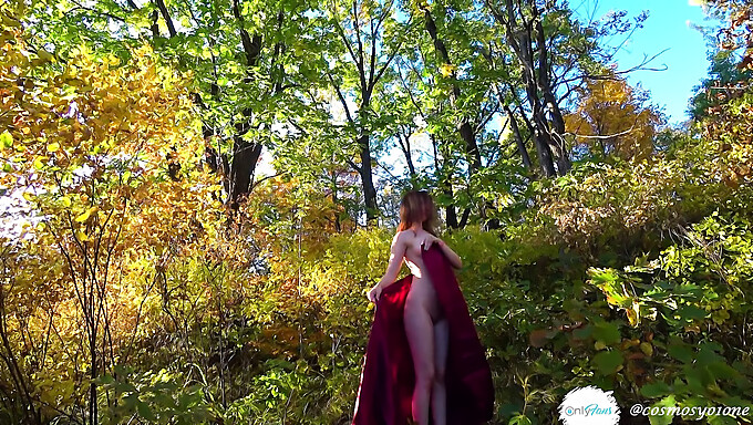 Video Pov De Un Encuentro Al Aire Libre De Una Teen Rusa